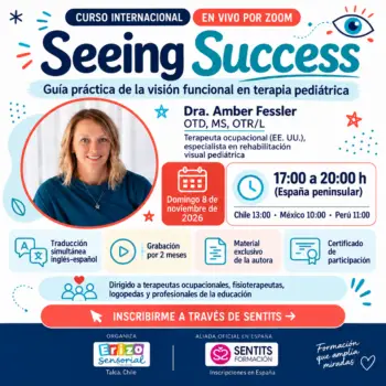 Seeing Success - Guía práctica de visión funcional en terapia pediátrica